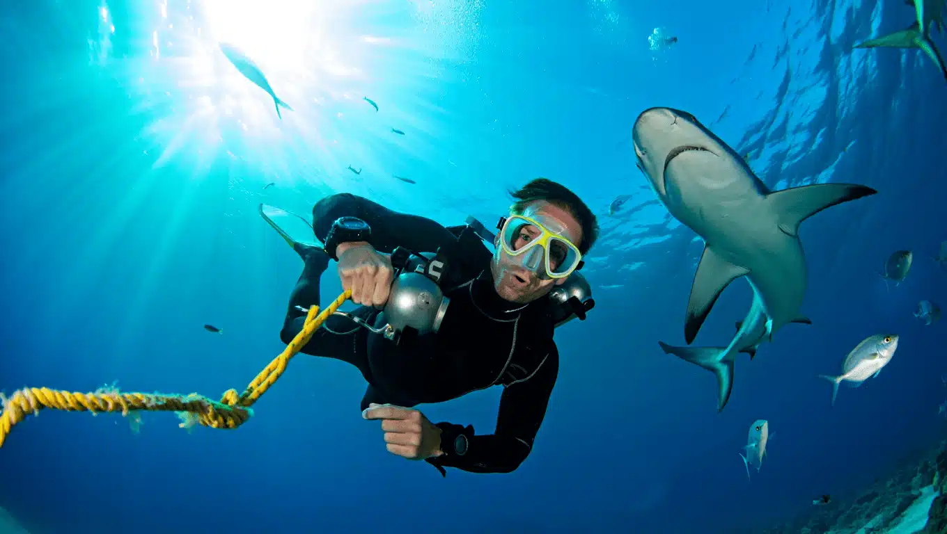 Sub alle Maldive: la mancanza di una sagola è stata la trappola mortale e poi gli squali...