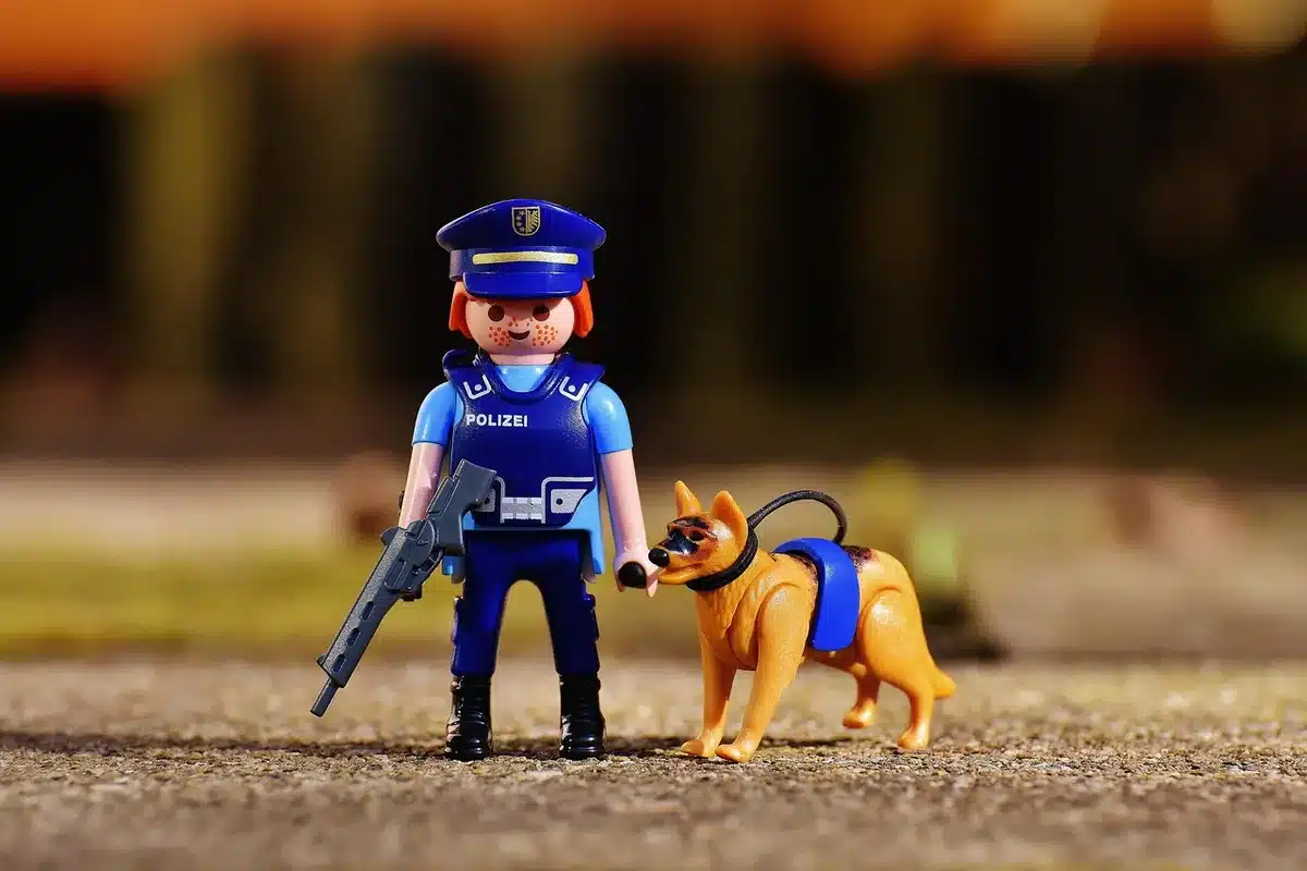 Dog sniffing identical sealed sample jars during a training session