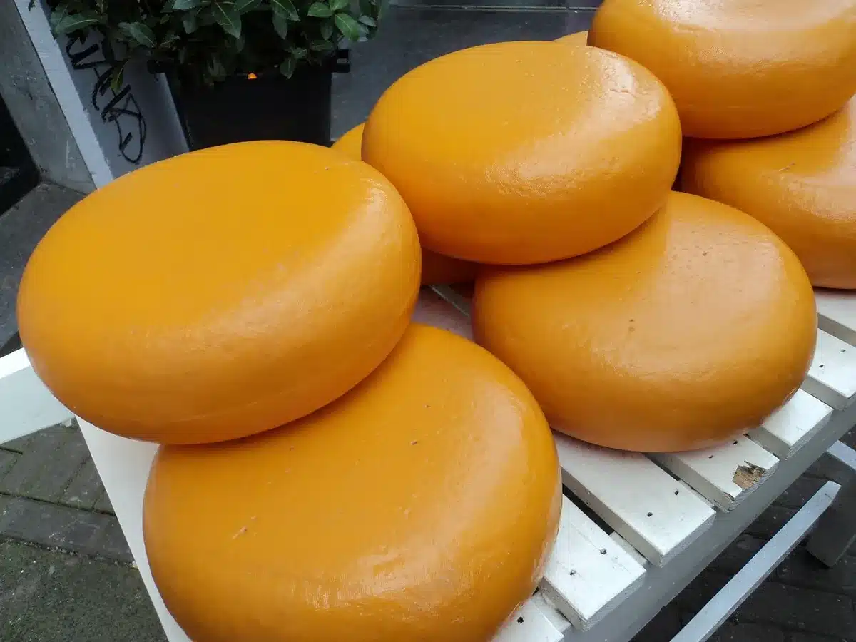 Stanza di stagionatura con forme di pecorino e rivestimenti di cera