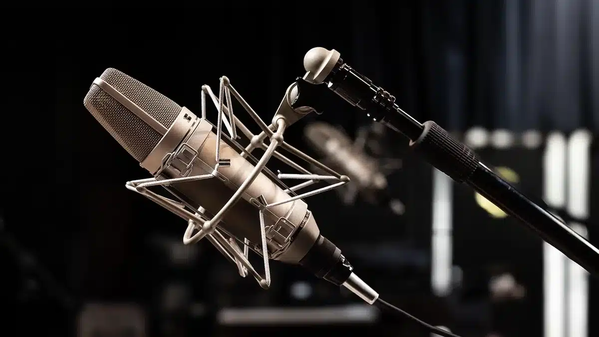 Person speaking into a professional microphone in a recording studio