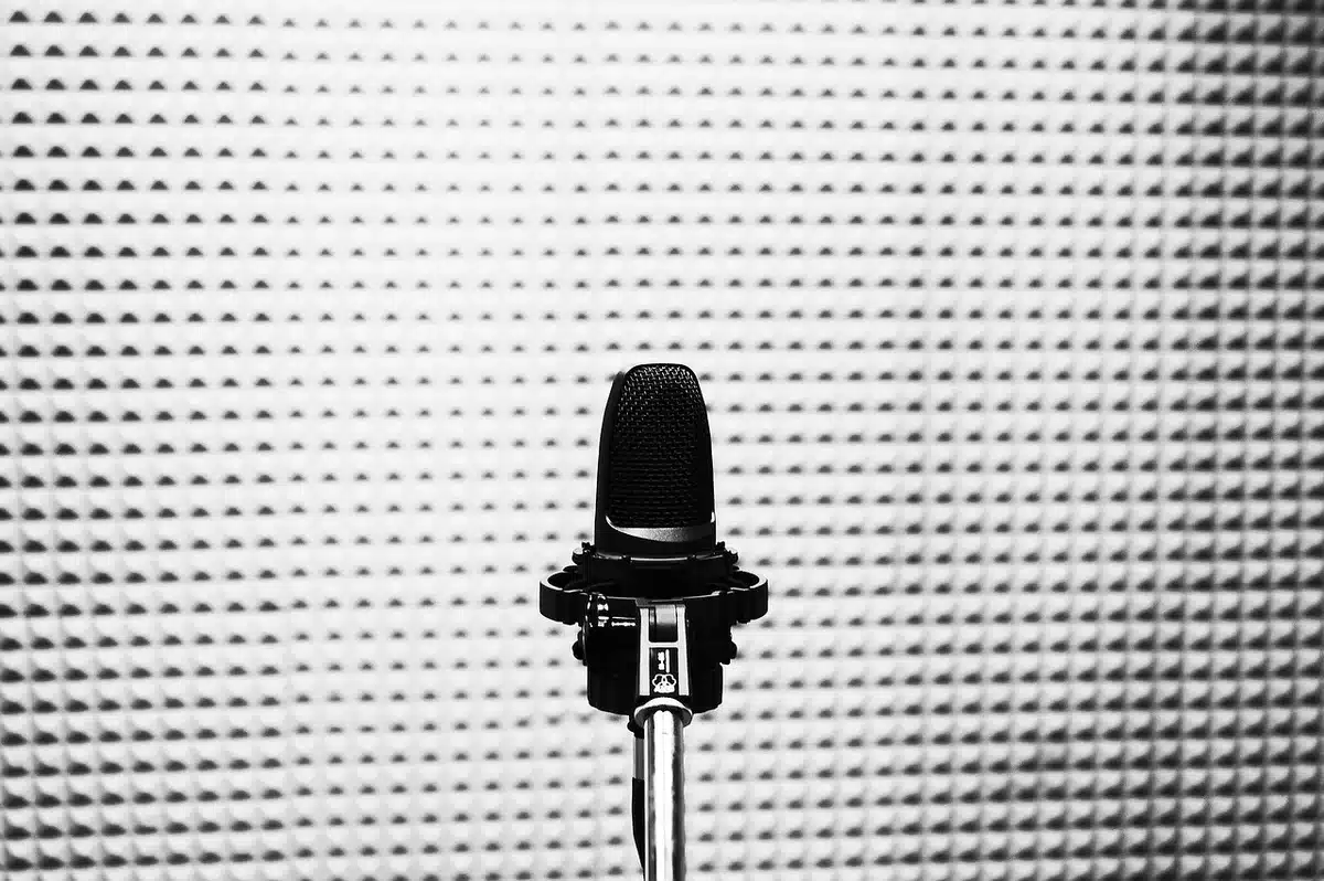 Professional home recording studio with microphone and acoustic panels